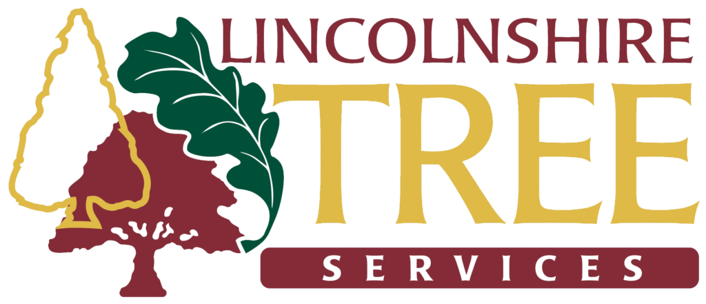 Lincolnshire Tree Services